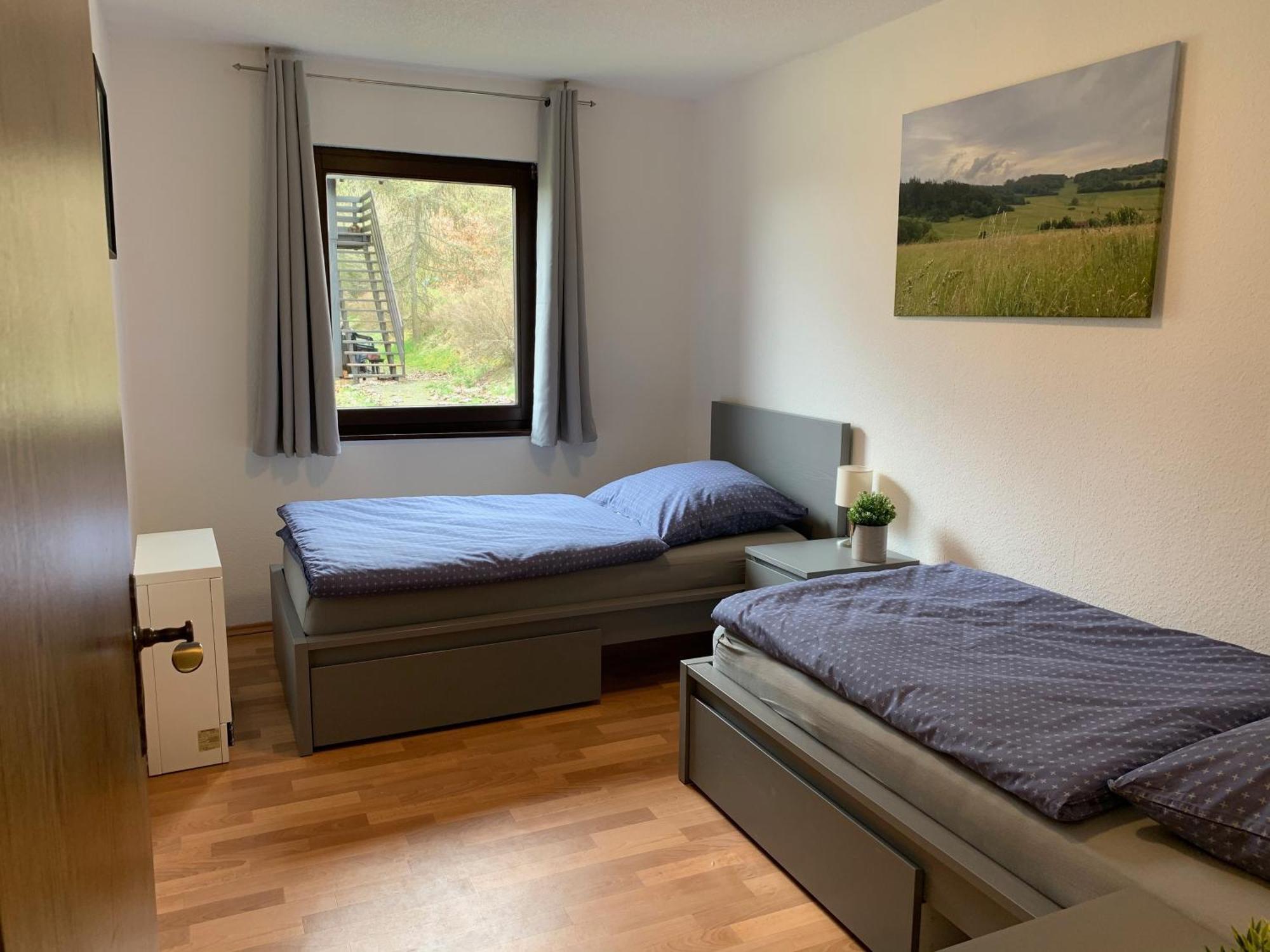 Ferienwohnung Mimo Direkt Am Waldrand Frankenau Ngoại thất bức ảnh